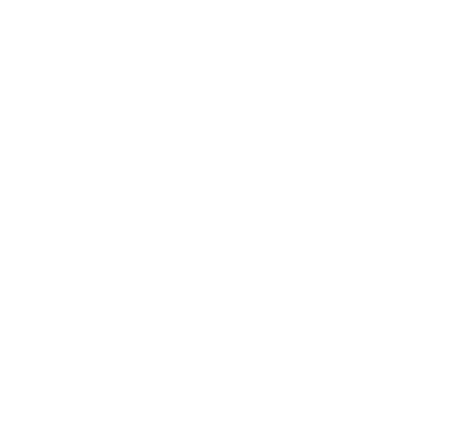 BASE Gracie Jiu-Jitsu