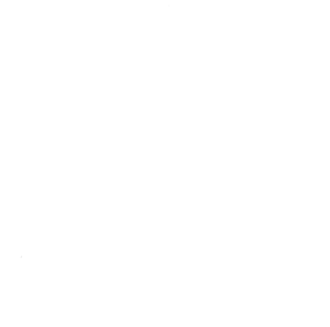 Base Gracie Jiu-Jitsu